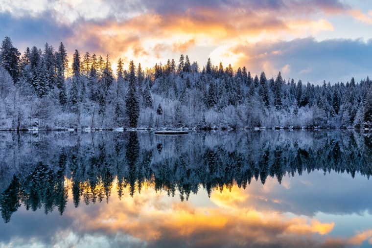 Обои высокого качества зима