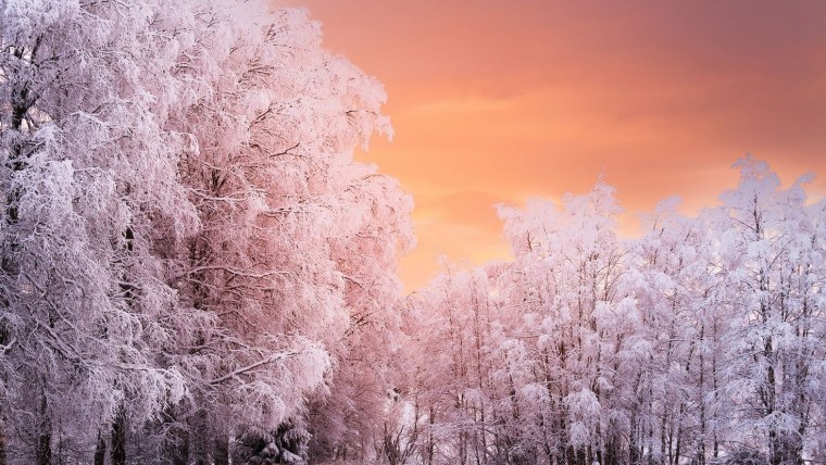 Природа зима