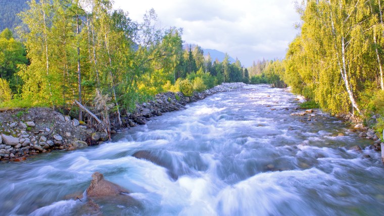 Исток горного ручья