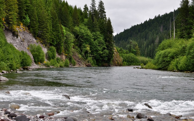 Река Тумнин гора