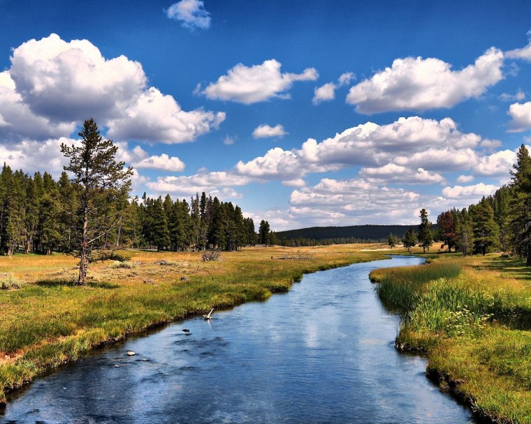 Красивая река