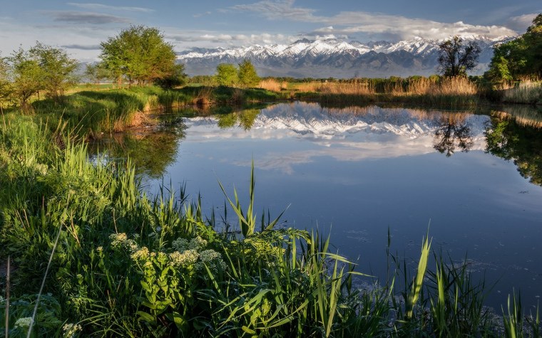 Красивые фото на речке