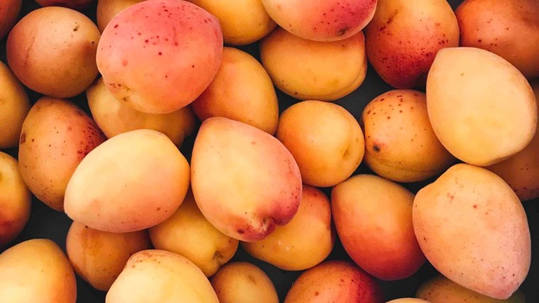 Абрикос сорт Кичигинский дерево