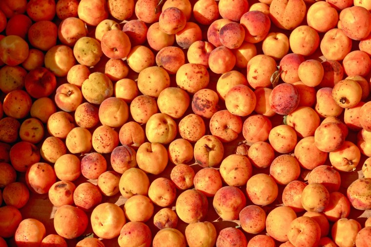 Абрикос черешня Урюк