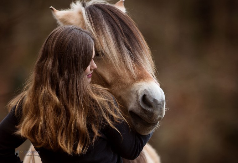 Пара лошадей на лугу
