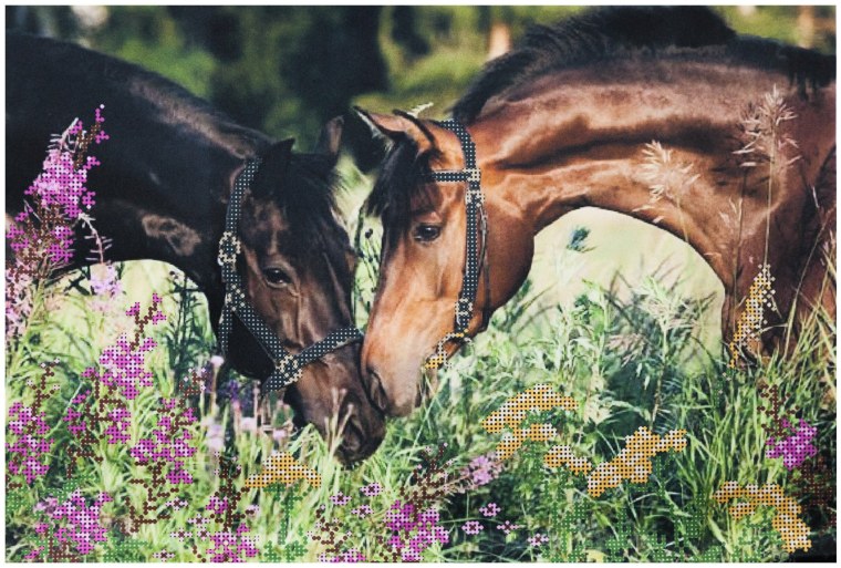 Любовь лошадей