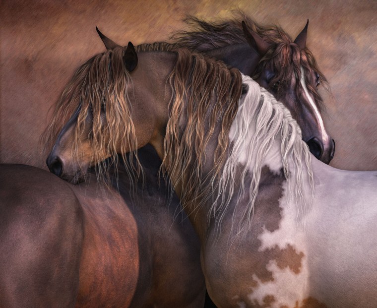 Красивый грациозный конь