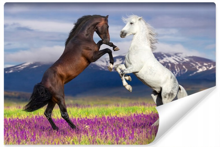 Любовь лошадей