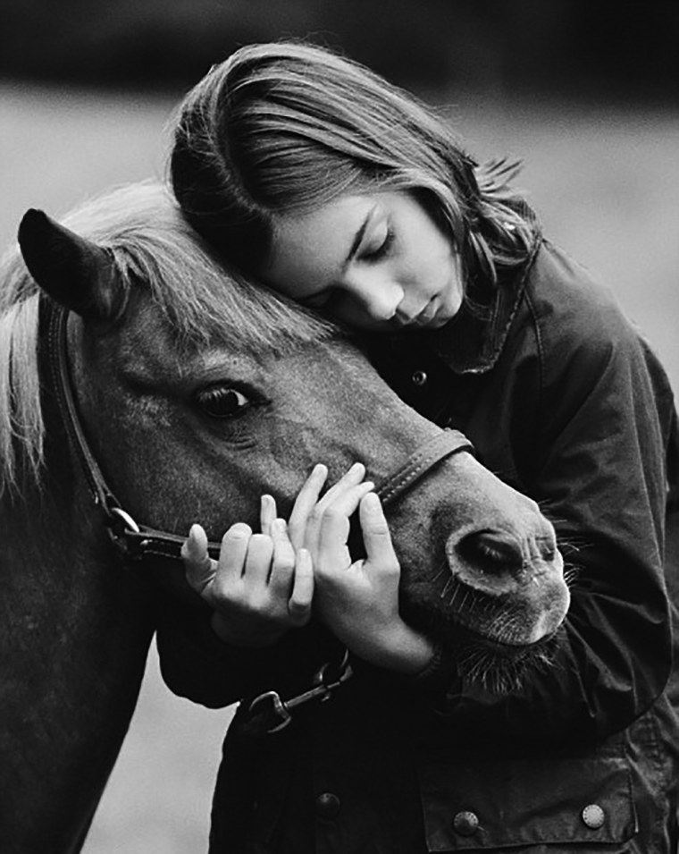 Лошади в паре красивые