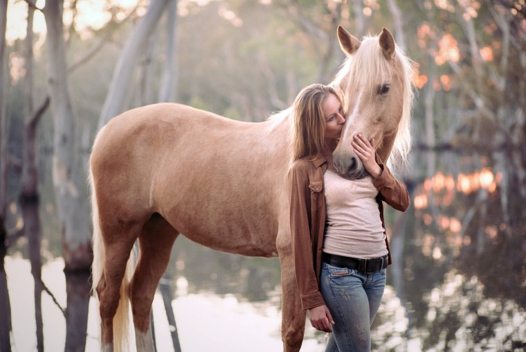Лошадь черно белая
