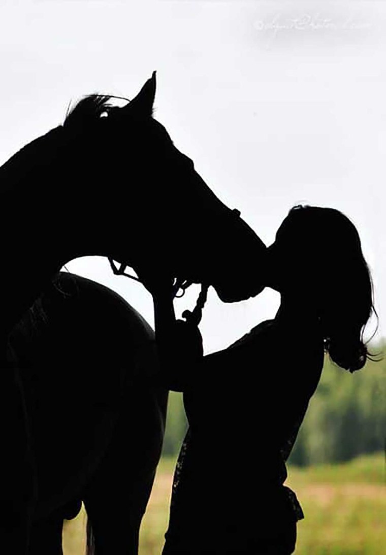 Красивые лошади