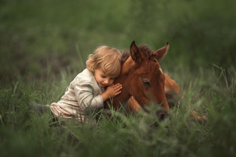 Любовь лошадей