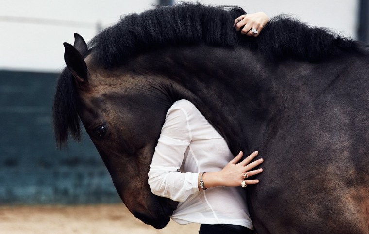 Объятия с лошадью