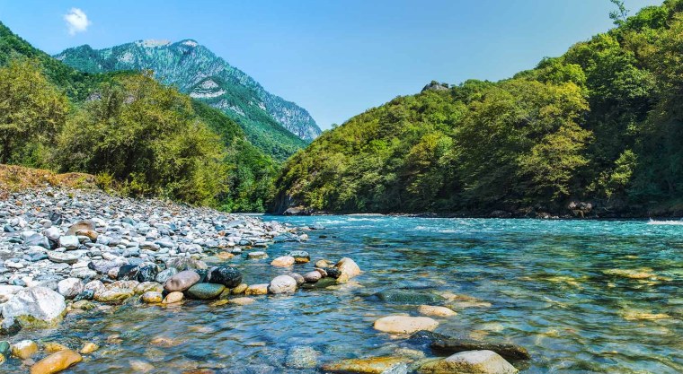 Природа Абхазии Пицунда