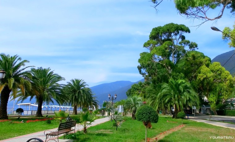 Континент Гагра Абхазия