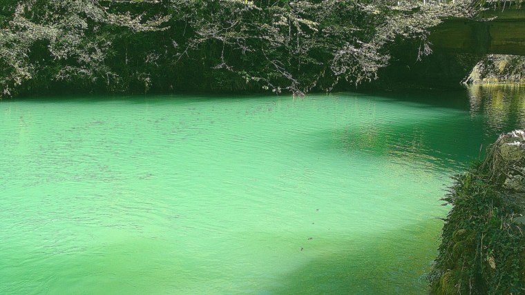 Озеро Рица пляж