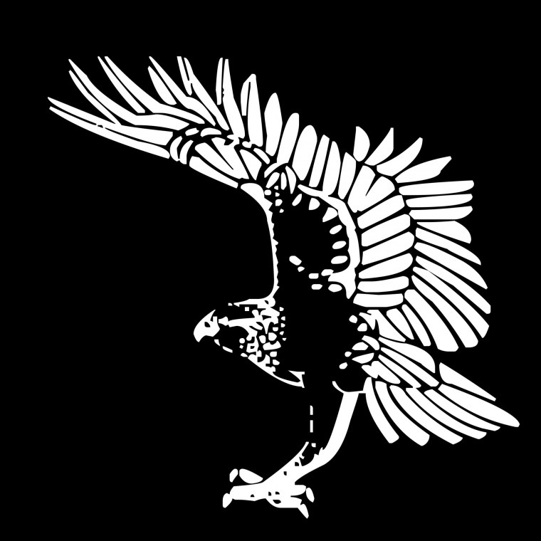 Орел черно белый