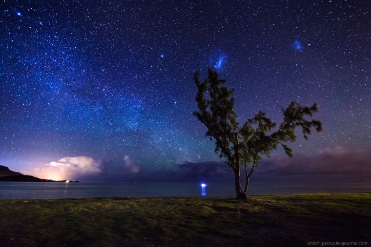 Ночная природа