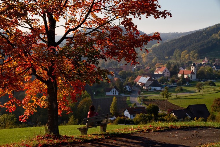 Осень в Шопфхайме Германия