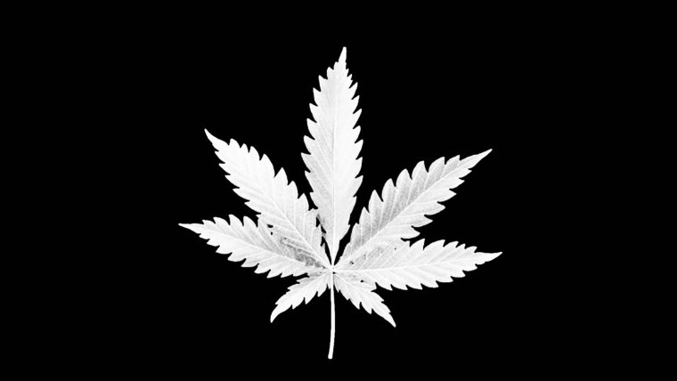 Марихуана фон чб