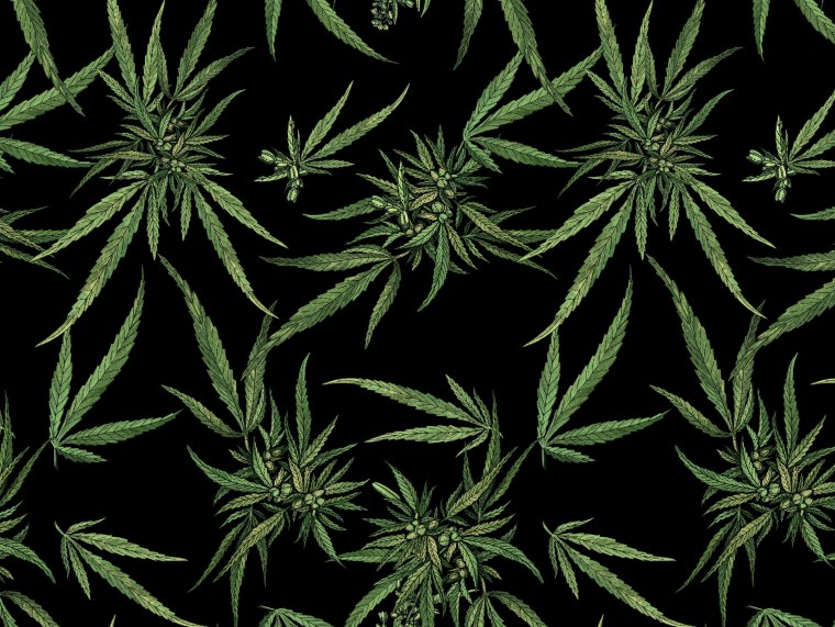 Black Cannabis группа