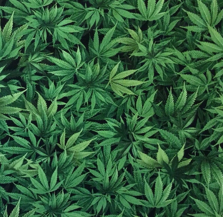 Канабис 2д