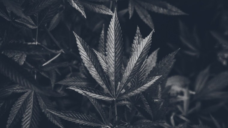 Марихуана обои