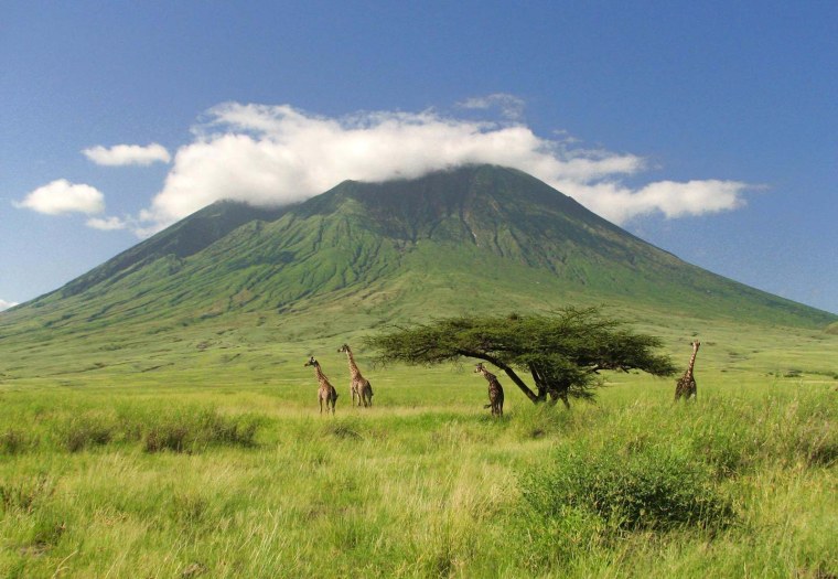Гора в Африке Килиманджаро