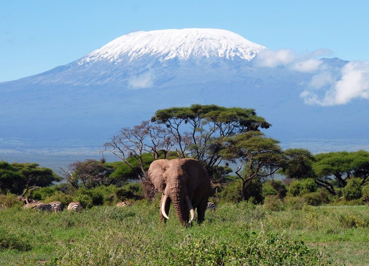 Танзания гора Килиманджаро