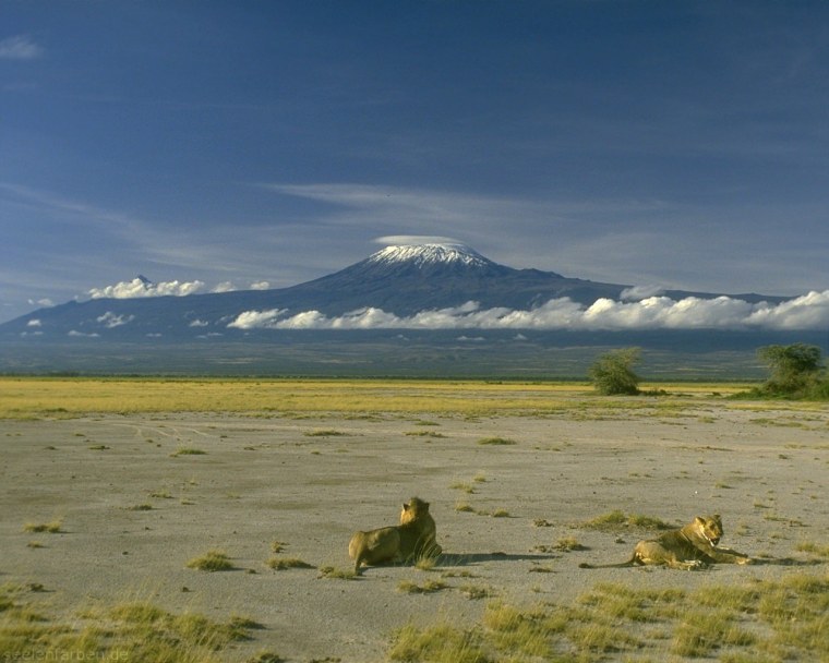 Танзания вулкан Килиманджаро
