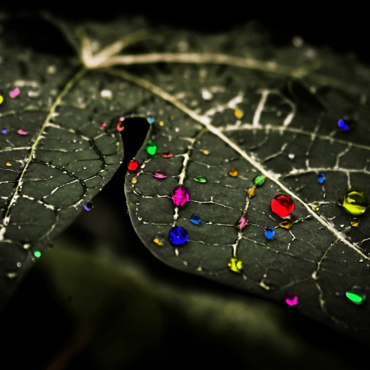 Заставки на телефон