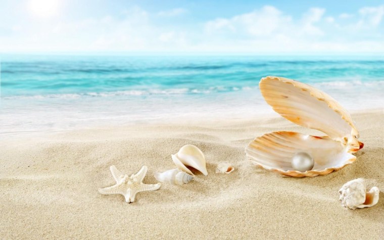 Ракушки на пляже