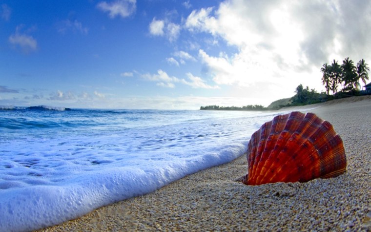 Красивое море