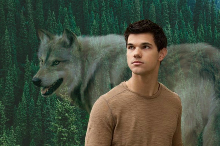 Сумерки оборотень Джейкоб