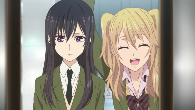 Цитрус аниме чехлы