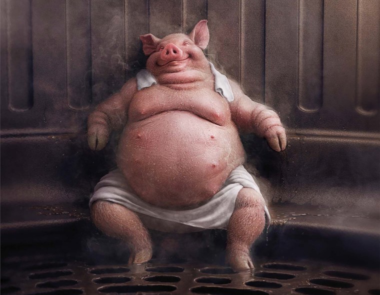Свинья в кресле