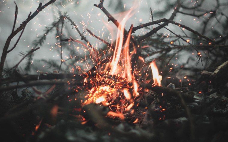 Огонь в лесу Эстетика