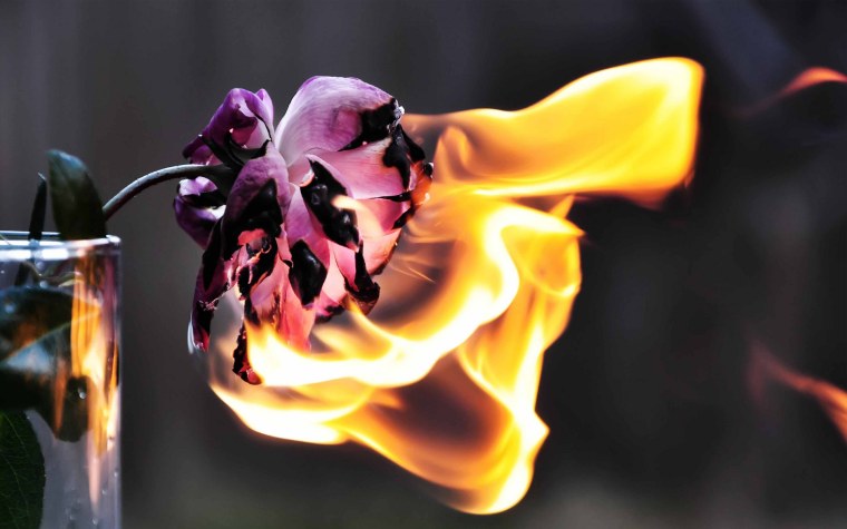 Огонь Эстетика