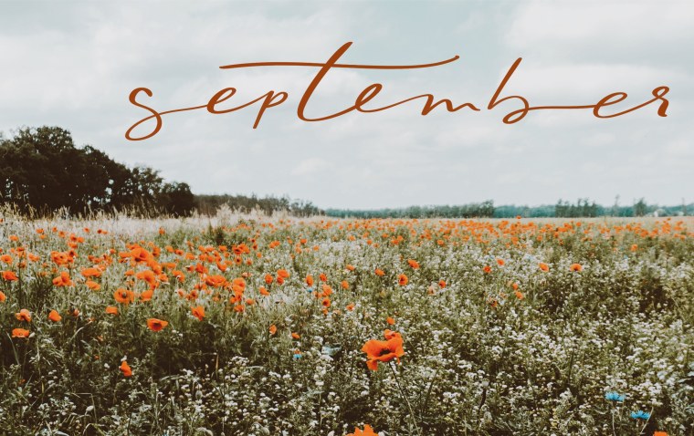 Обои сентябрь на рабочий стол календарь