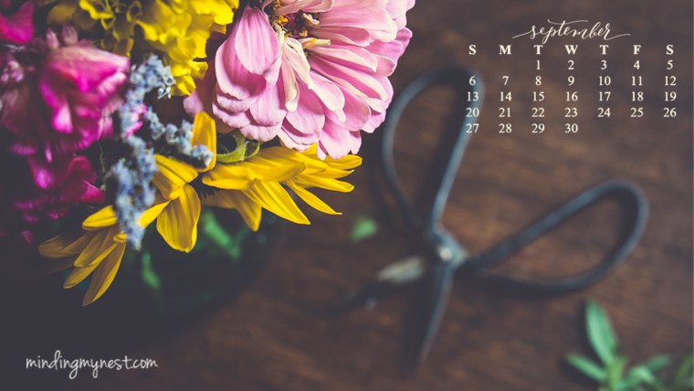 Обои календарь сентябрь