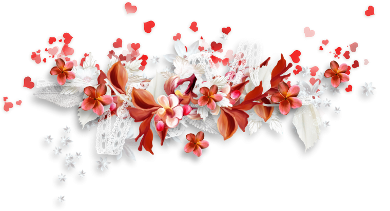 Цветы без фона