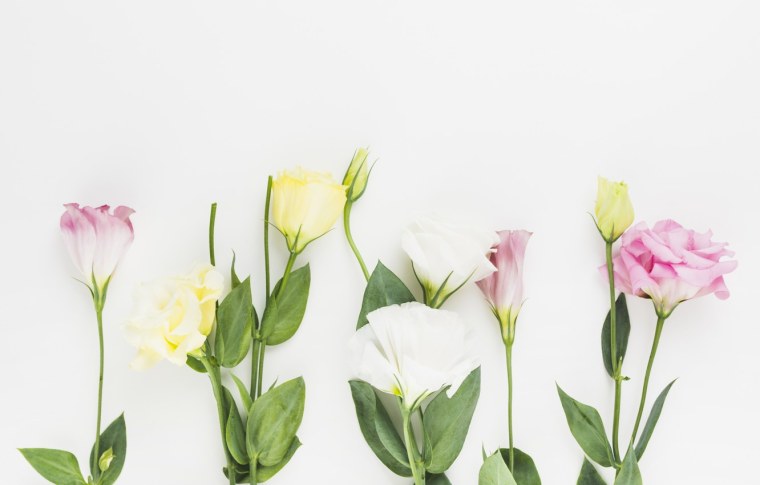 Лизиантус Эстетика