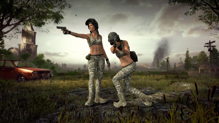 PLAYERUNKNOWN'S Battlegrounds Lite PUBG Lite