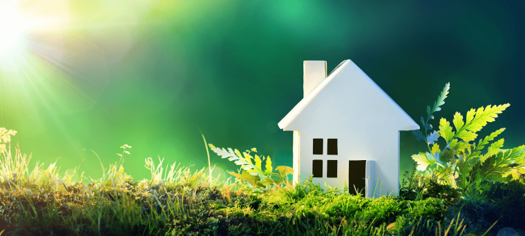 Экология дома