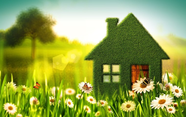 Зеленый домик