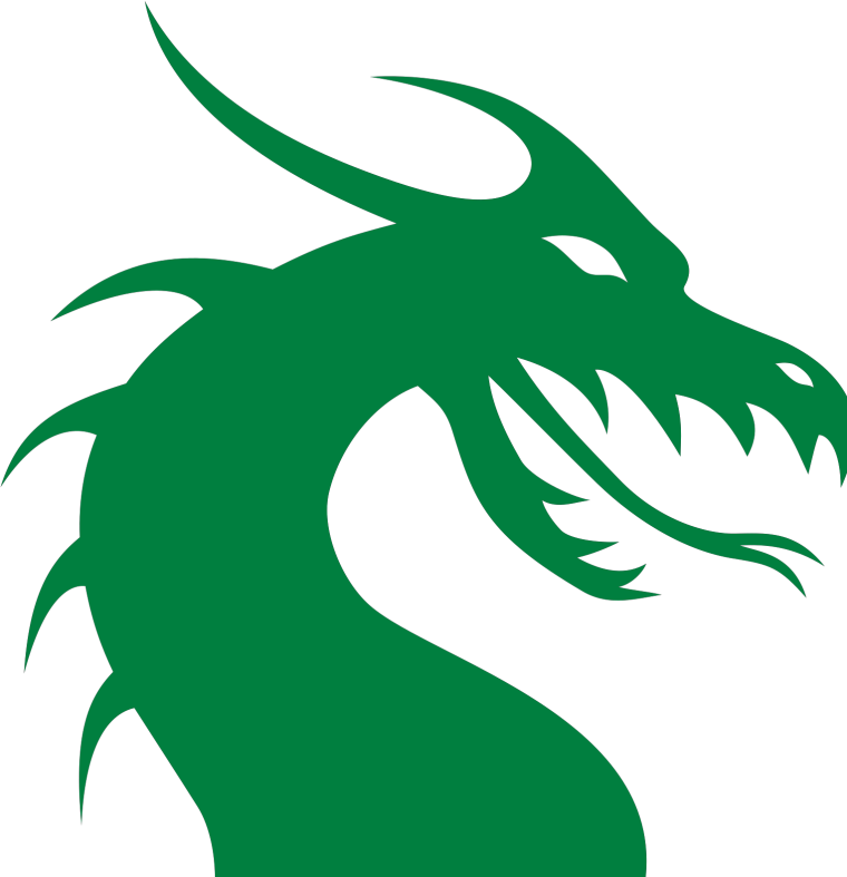 Зеленый дракон символ