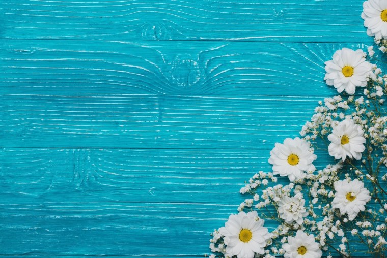 Ромашка на светло голубом фоне