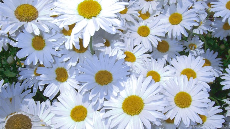 Красивый фон для поделок