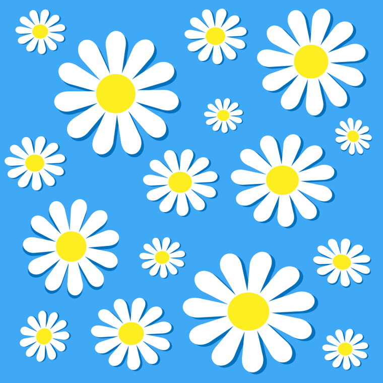 Ромашка Векторная Графика