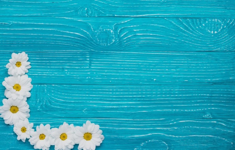 Фон ромашки